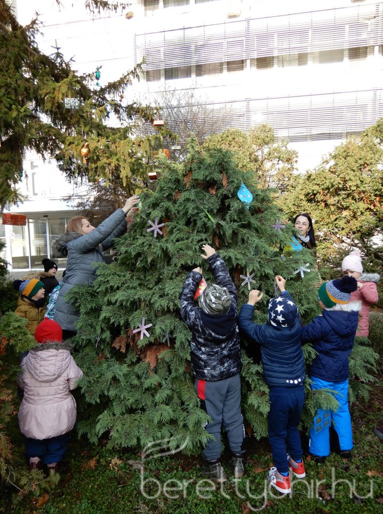 Fenyődíszítés a kórházban 12